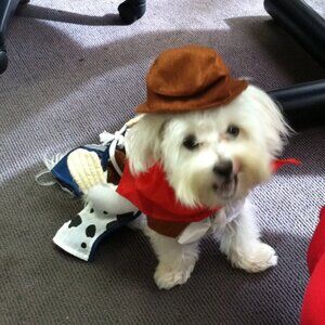 Meet your Posher, SandyD